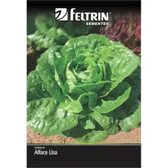 undefined - Semente Alface Elisabeth Feltrin