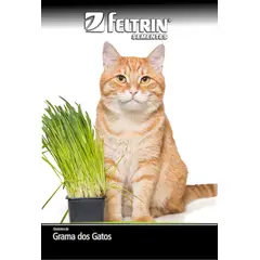 undefined - Semente Grama dos Gatos Feltrin