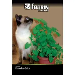 undefined - Semente Erva dos Gatos Feltrin