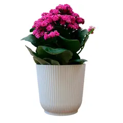 Okla - Vaso Cachepo Talin 16,8x15,96cm Off White