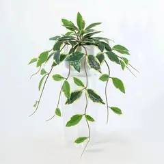 Just Home Collection - Planta Artificial Hera Variegada