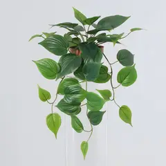 Just Home Collection - Planta Artificial Cordatum