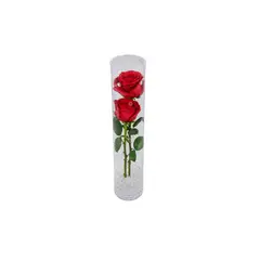 Timlog - Rosa Unitária Bela
