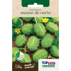 Topseed Garden - Semente Horta Maxixe do Norte