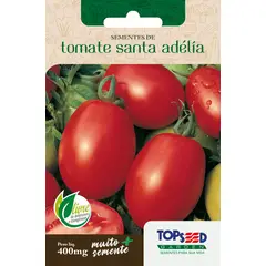 Topseed Garden - Semente Horta Tomate Santa Adélia
