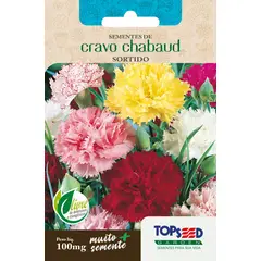 Topseed Garden - Semente Flor Cravo Chabaud, Sortido