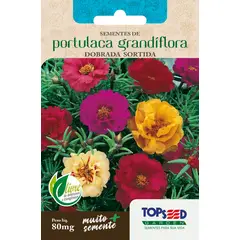 Topseed Garden - Semente Flor Portulaca Grandiflora Dobrada Sortida