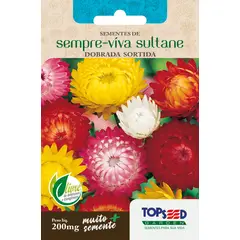 Topseed Garden - Semente Flor Sempre-Viva Sultane Dobrada