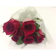 Timlog - Rosa Flor Corte Planta Natural