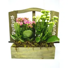 Veiling Holambra - Arranjo para Janela Jardineira de Madeira