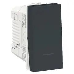 Schneider - Módulo Interruptor 10A Orion Grafite Bivolt