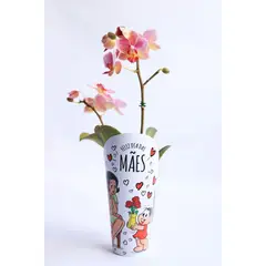 Veiling Holambra - Orquídea Phalaeonopsis Mini Pt 06