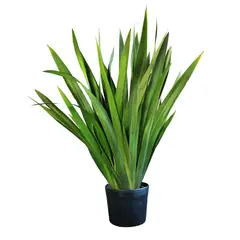 Timlog - Iris Pote 6 Planta Natural