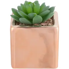 Just Home Collection - Suculenta 502128A com Vaso 10cm