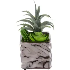 Just Home Collection - Suculenta 502417A com Vaso 17cm