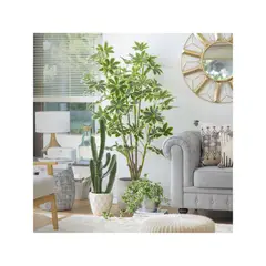 Just Home Collection - Planta Artificial Cactus