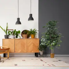 Just Home Collection - Planta Artificial Ficus
