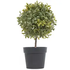 Just Home Collection - Planta Artificial Bola Murraya