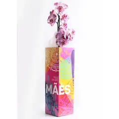 undefined - Orquídea Phalaenopsis Pote 12 Especial Mães