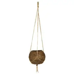 Coquim - Vaso Pendente Fibra de Coco Parede Médio 12x10x12cm
