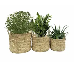 Just Home Collection - Cesto Quilca 36x25cm