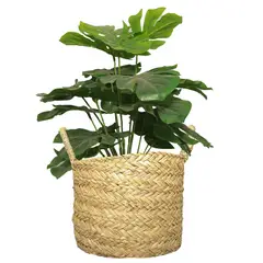Just Home Collection - Cesto Decorativo em Fibra Natural com Alças Quilca 31x21cm
