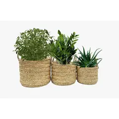 Just Home Collection - Cesto Decorativo em Fibra Natural com Alças Quilca 25x17cm