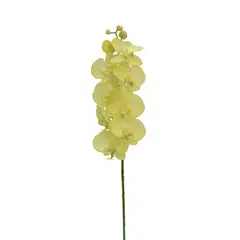 Just Home Collection - Haste Orquídea Amarelo
