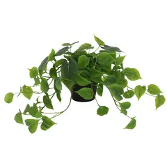 Just Home Collection - Planta Artificial Decorativa Jiboia 40cm