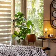 Just Home Collection - Planta Artificial Ficus