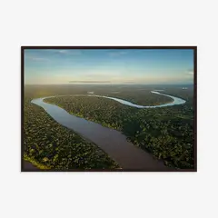 Artimage - Quadro com Vidro Floresta Amazonas 50x70cm