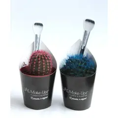 undefined - Planta Suculenta Colours Pote06
