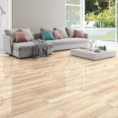 Fioranno - Piso Volga Plus Retificado 61X61 Cx2,23