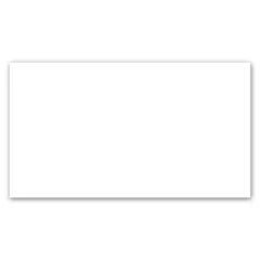 Holztek - Revestimento Brilhante 40010 Bold 32x58cm Caixa 2,02m² Branco