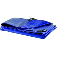 Ferrari/Rexon - Lona de Polietileno 100 Micras Azul Uv 3X6 Ferrari