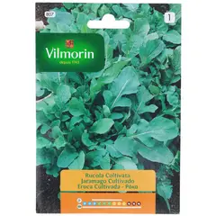 VILMORIN - Semilla Rúcula 10 gr Sachet