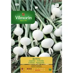 VILMORIN - Semilla Cebollín Barletta 2 gr Sachet