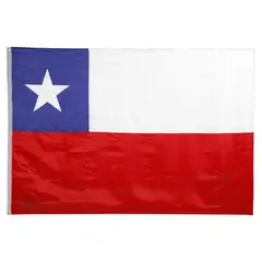 DORAL - Bandera Chilena 60x90 cm Poliéster