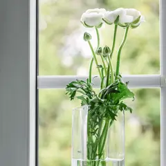 JUST HOME COLLECTION - Florero 20x7x7 cm vidrio Transparente