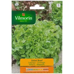 VILMORIN - Semilla Lechuga Salad 3 gr Sachet