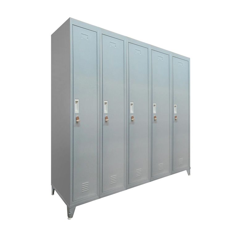 Locker con Portacandado 5 Puerta(s) 2 Repisa(s) 50x166x137 cm Gris