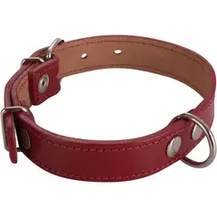 PETIZOOS - Collar para perro 50x2,5 cm de suela rojo