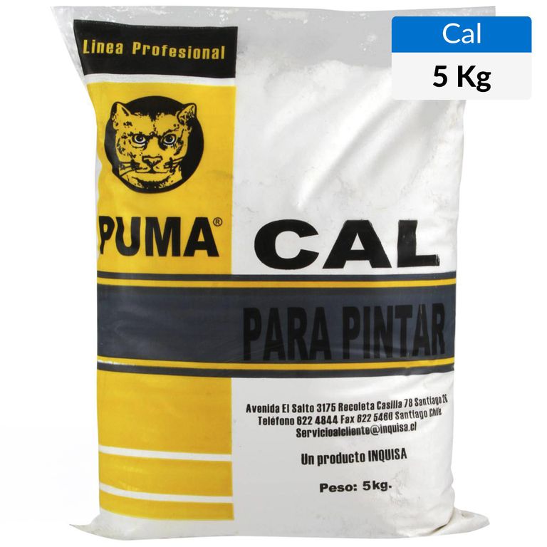 Cal Para Pintar 5 kg Bolsa