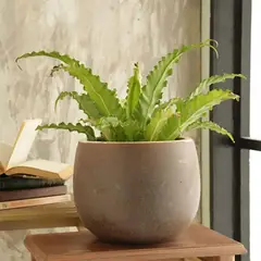 CASA BONITA - Macetero Ceuta de Cerámica 30x23 cm Beige