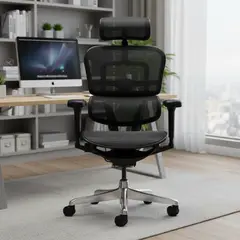 ONE SIT - Silla Escritorio Ergohuman Ultra Malla Negro