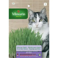 VILMORIN - Semilla hierba para gato 20 gr sachet