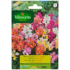 VILMORIN - Semilla Flor Perrito Enana 0.6 gr Sachet