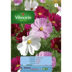 VILMORIN - Semilla Flor Cosmos 2 gr Sachet