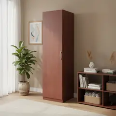 AGM - Clóset 1 Puerta(s) 1 Repisa(s) 60xx50 cm Cedro