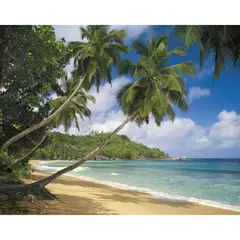 KOMAR - Papel Fotomural 8 Paneles Tropica Sea 8308 9,3 m2